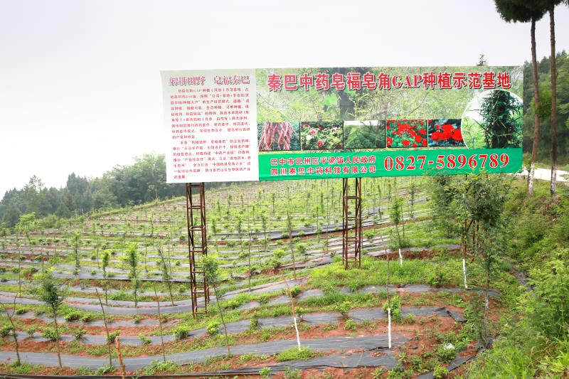 促进中医药传承创新发展的“巴州模式”