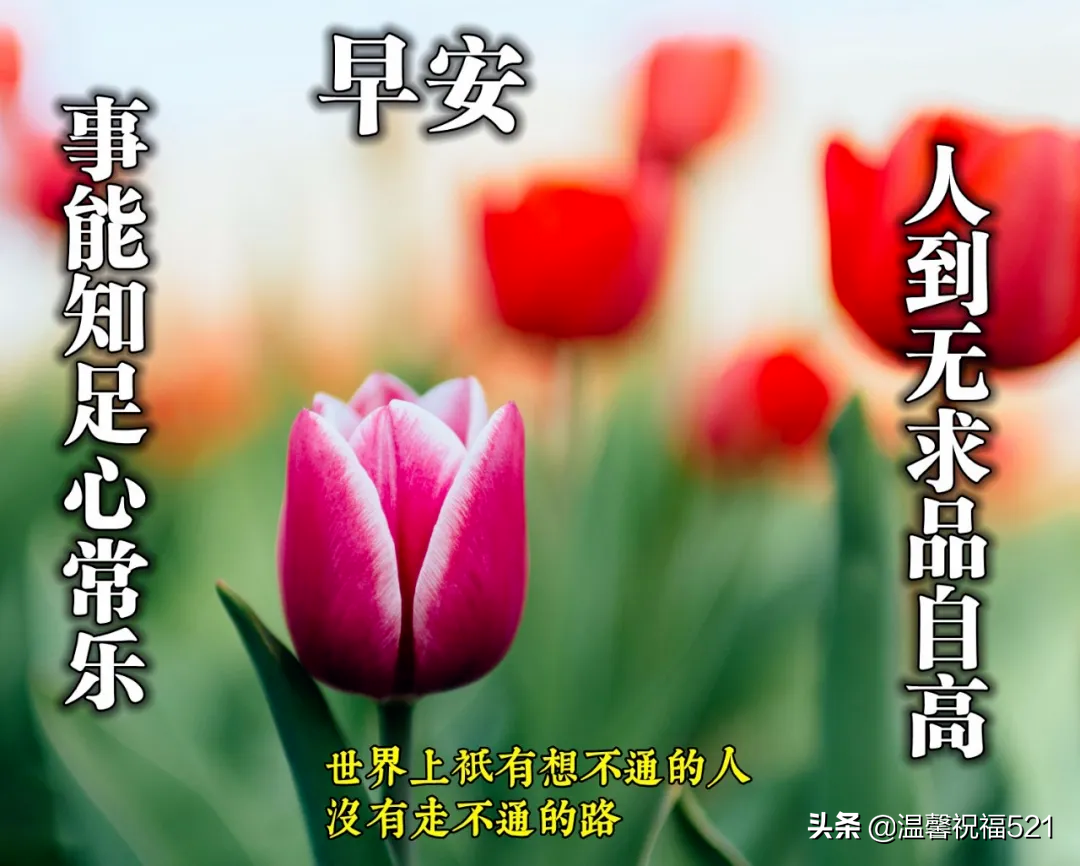 微商早安图片2021新图片 早上好唯美暖心问候语 图片