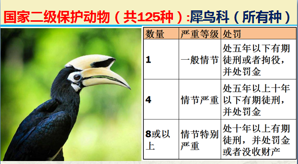 国家最新125类二级野生保护名录，图片及违法对应刑责