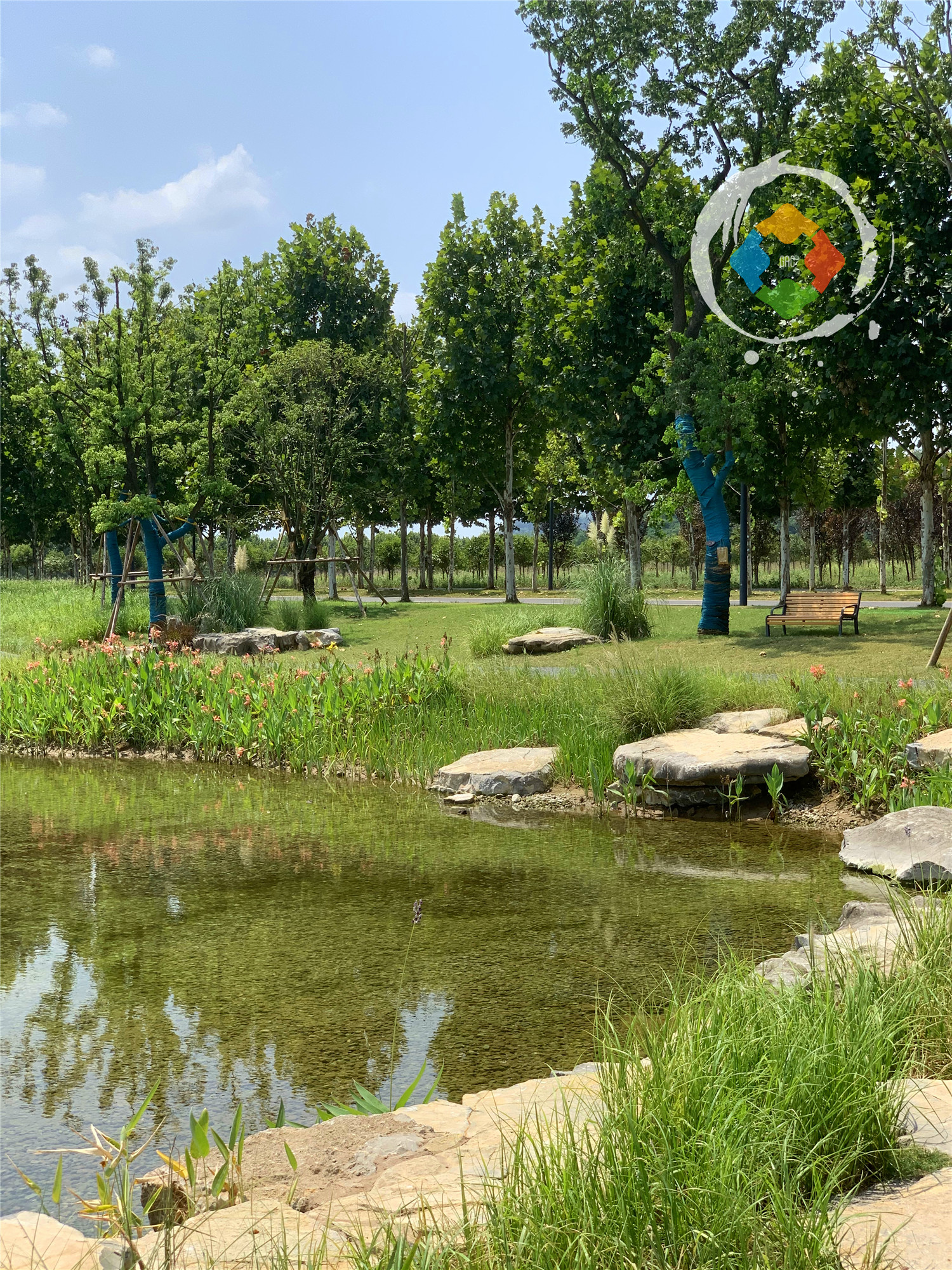 重庆广阳岛游玩攻略：一天逛完4大景点，美不胜收，拍照超好看