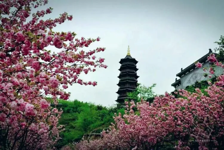 先预约，再出游！重庆主要旅游景区出行指南