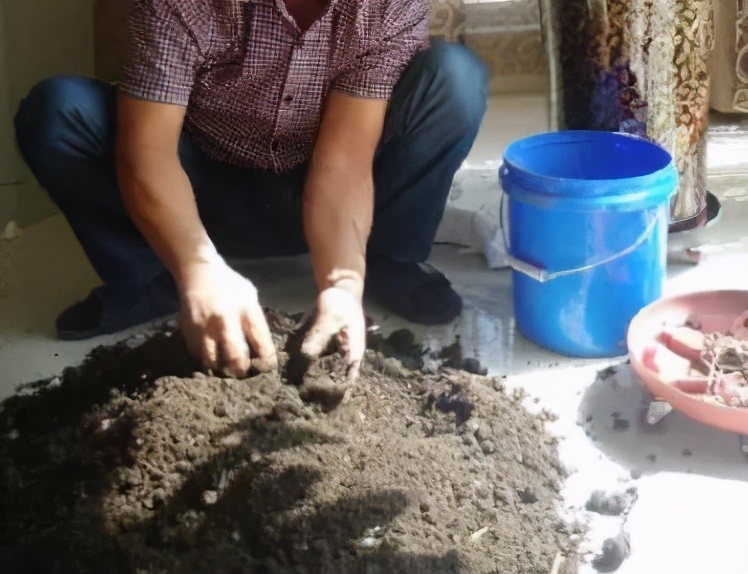 为什么人一过40岁，就喜欢把家里搞成植物园？