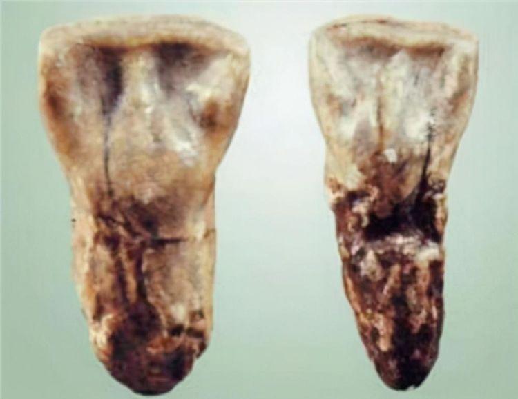 The descendants of Yan and Huang have these three special "signs", they