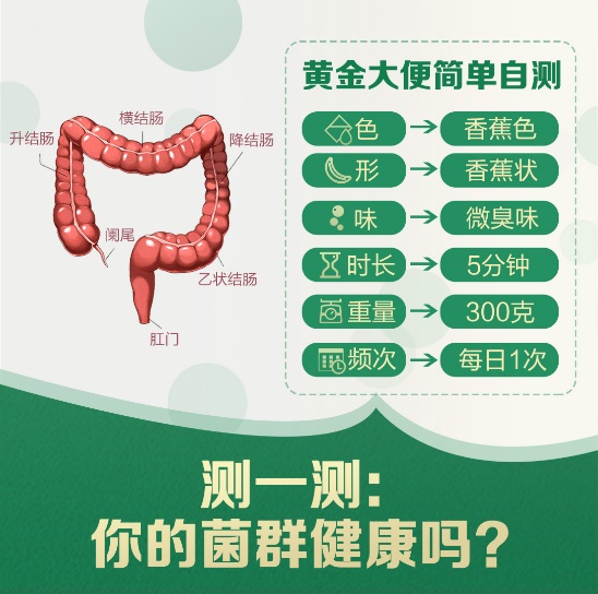 一张图就告诉你益生菌对你身体的重要性