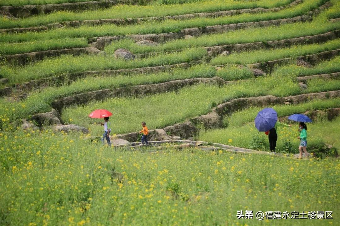 阳春三月 · 永定初溪土楼赴一场春之约