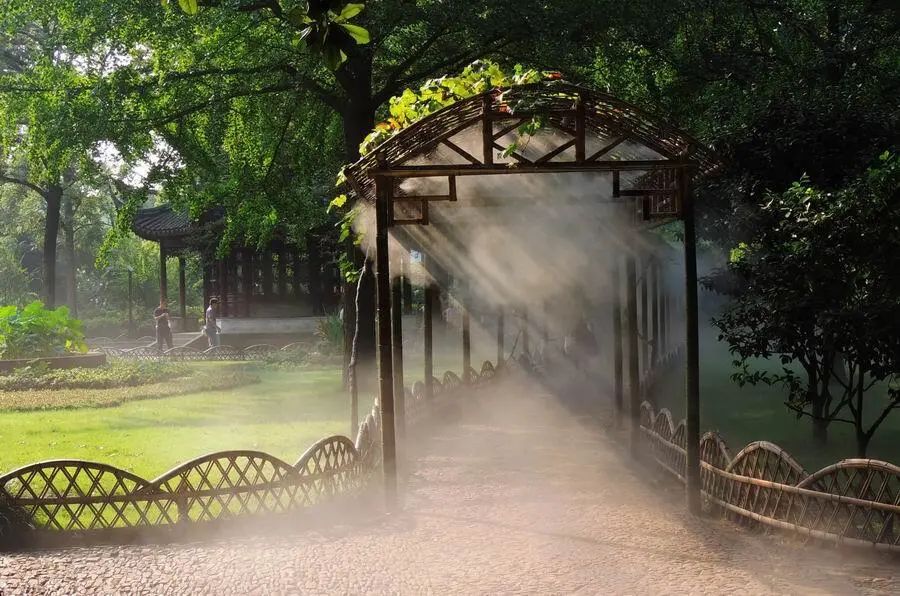 ����������СƷ����ƣ���������������������ʤ��ɭ