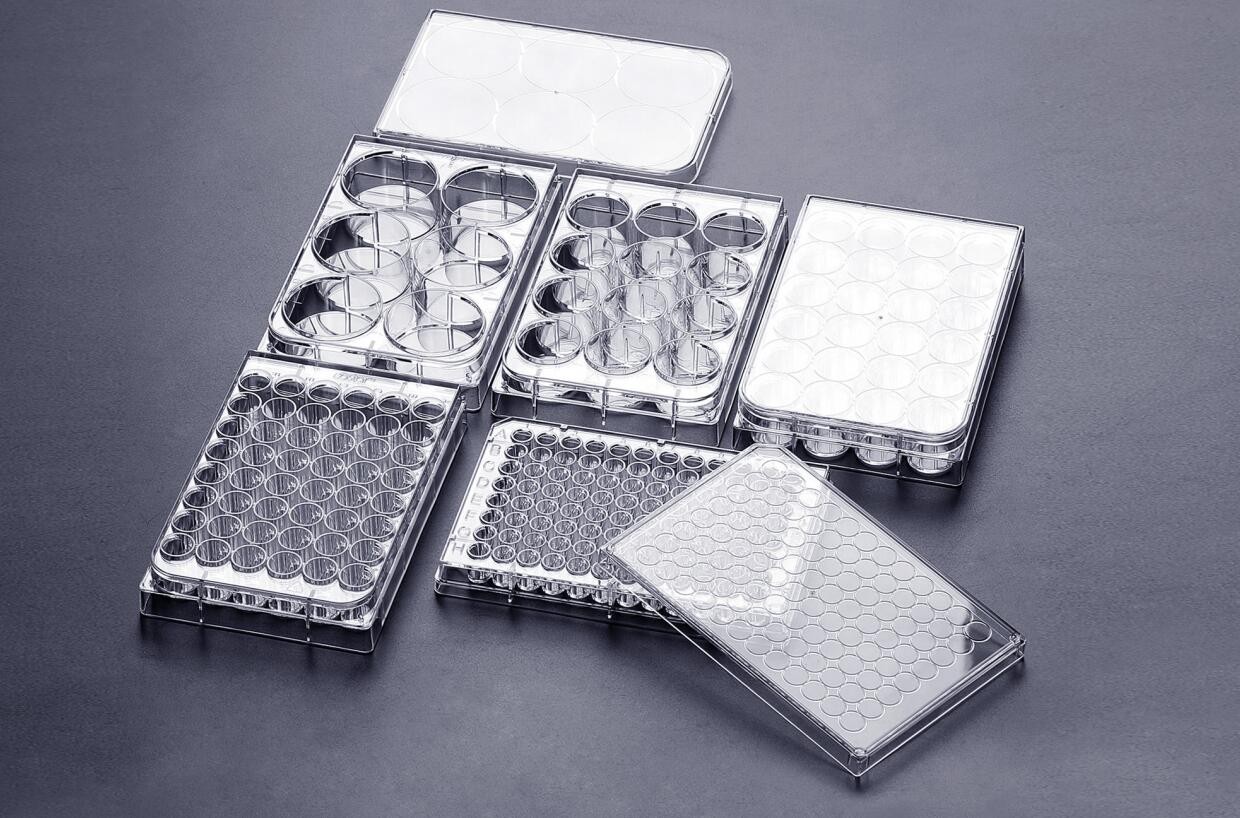 Three commonly used coating solutions for cell culture flasks iNEWS