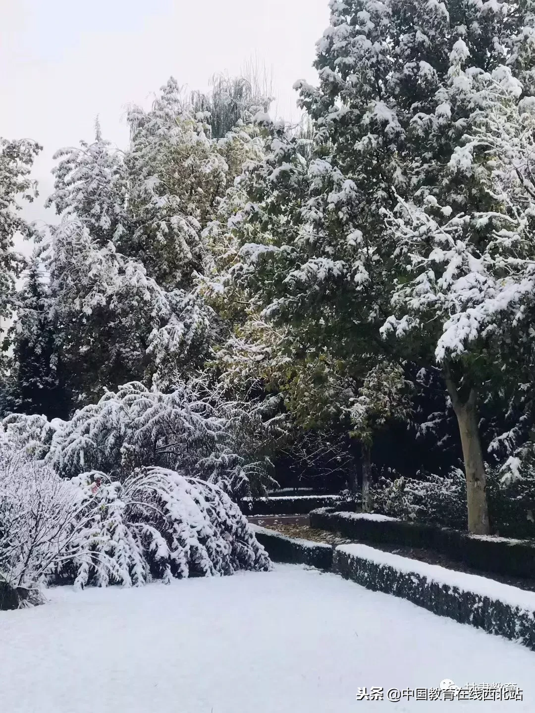 甘肃初雪|甘肃18所高校初学雪景大PK,快来看看有你的母校没?