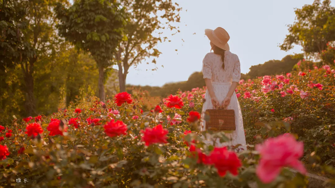双晒|沙坪坝：“双晒”直播正式亮相！晒出城市山水颜值和精神气质