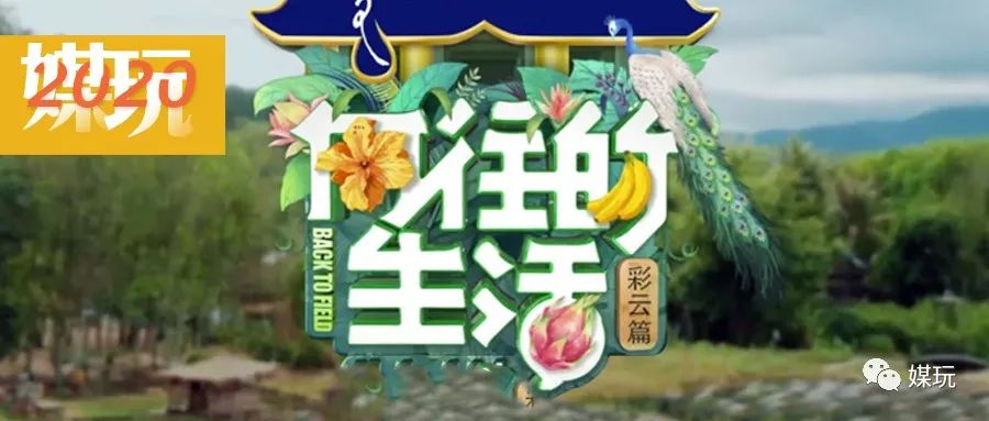 《向往的生活4》首播，今年的蘑菇屋“户型”太牛，摄像机零穿帮