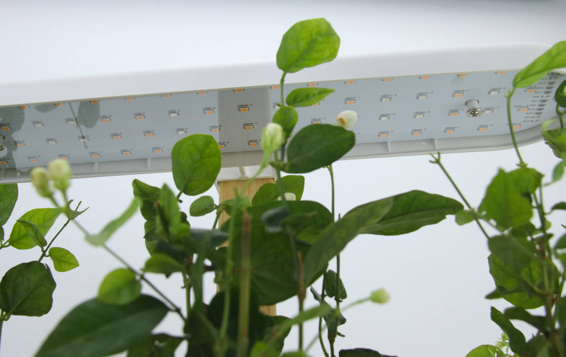 种植可以很简单，一米田智能种植伴侣，从今天起做个幸福的人