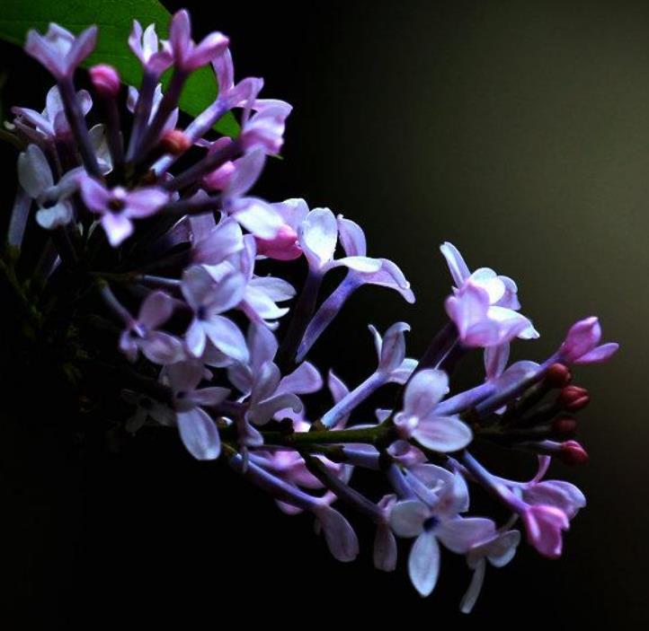 71岁老人说：人与人之间，不能看得太清楚，看得太清，你就败了