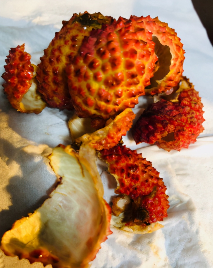 Lyche Shell Lychee shell is a