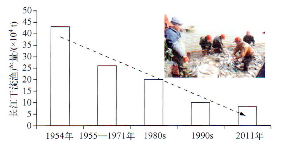 长江禁渔10年，估计仅能恢复3成，闸坝依然是“不治之症”？