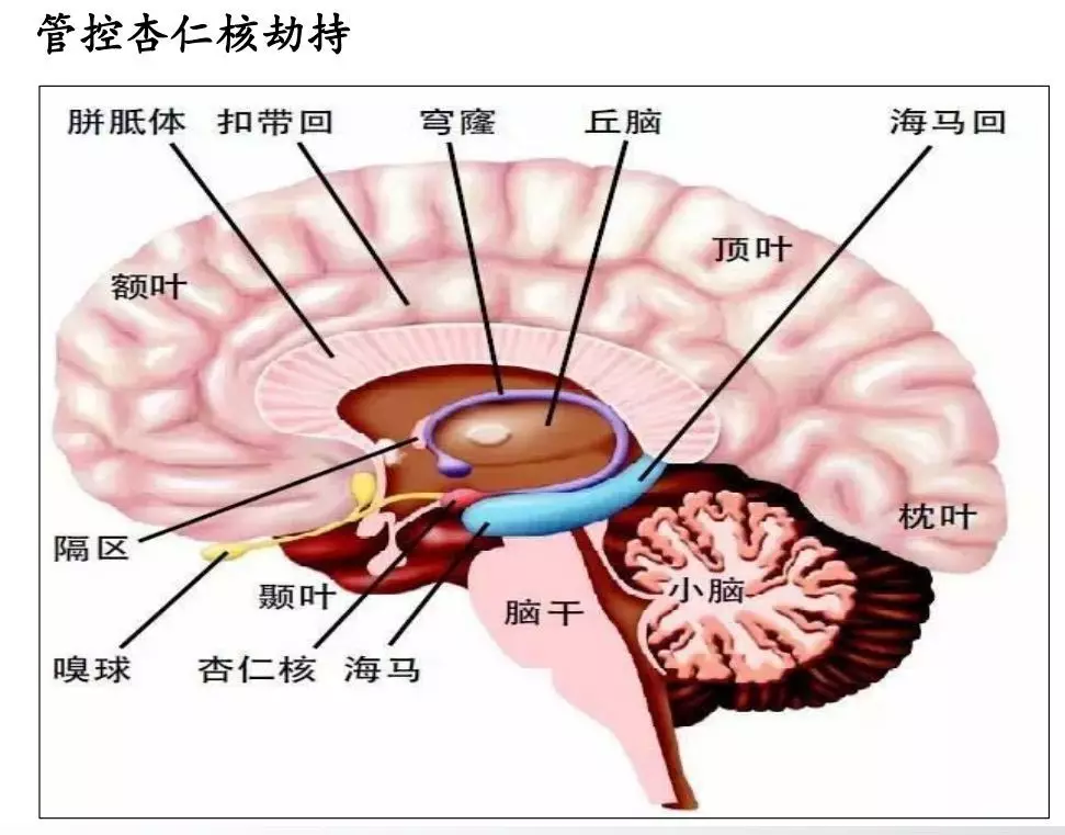 成长的5个底层逻辑