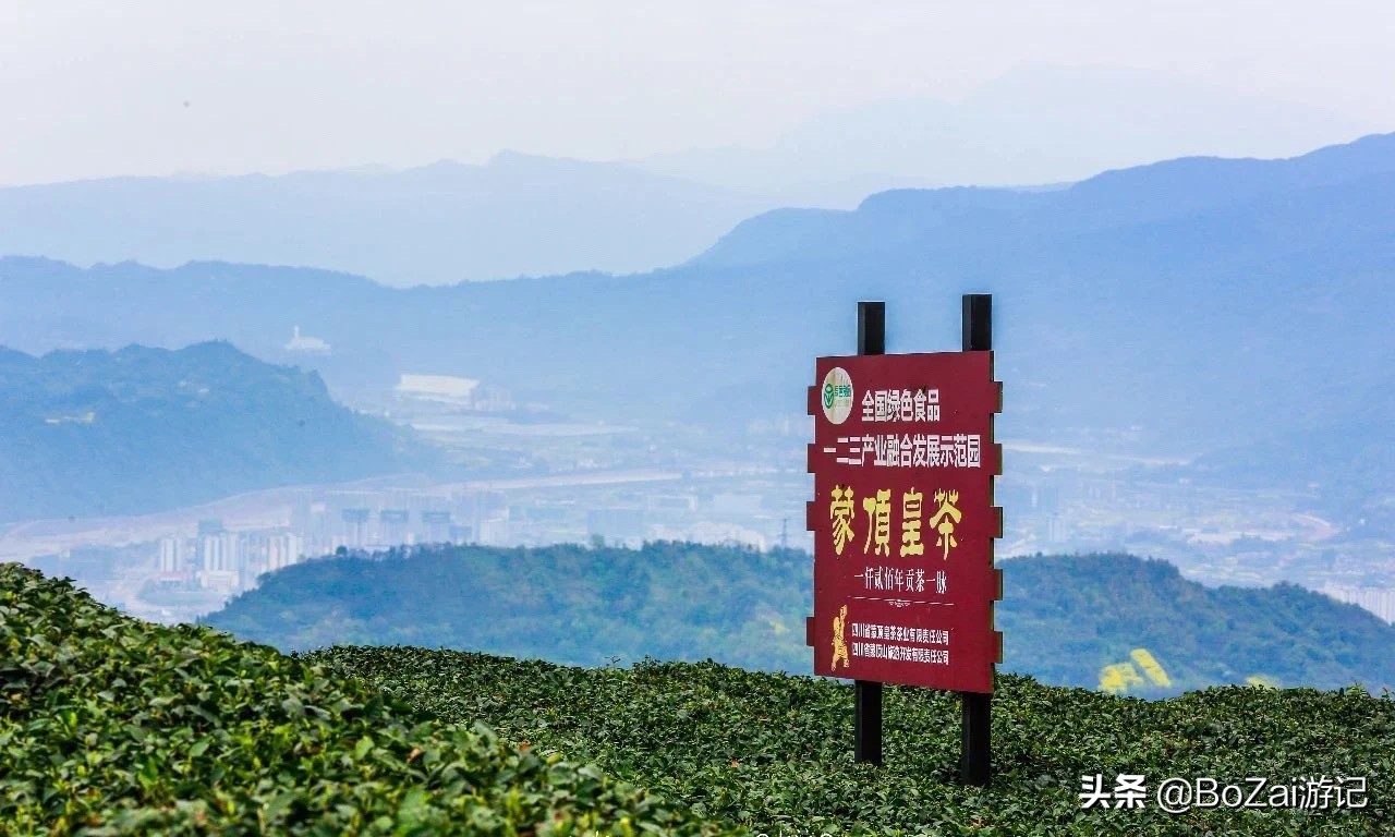 到四川雅安旅行不能错过的10大景点，有一处被称为中国仙茶故乡