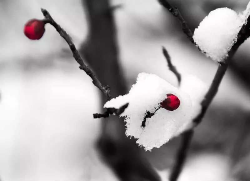 Such winter is really beautiful! You also can try so pat