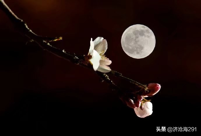 冯延巳一首鹊踏枝，幽微深婉，句句优美哀伤-第3张图片-非凡网