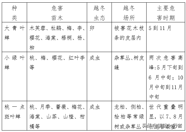 暖冬情况下，园林病虫害防治-第16张图片-农百科