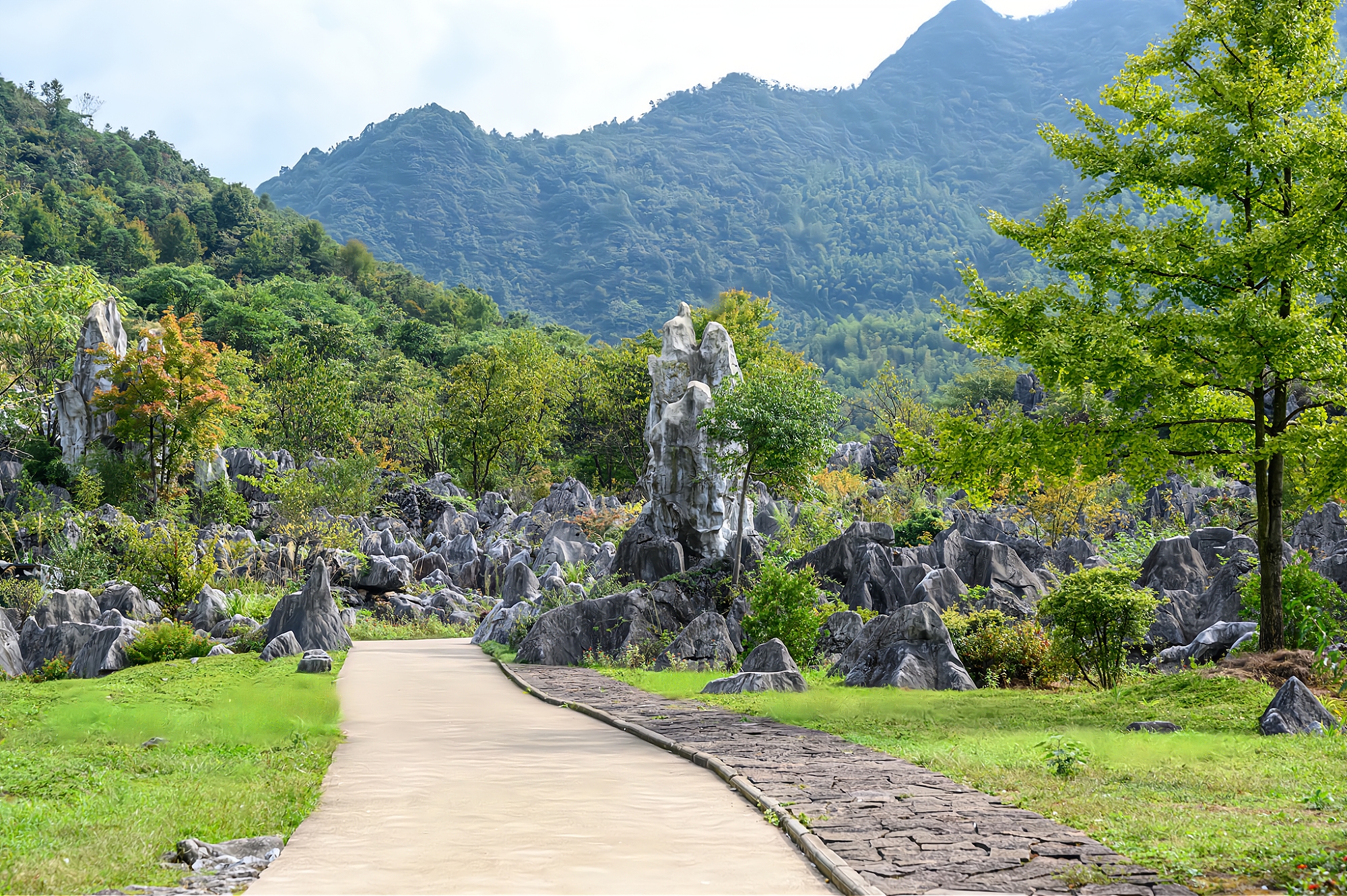 It is one of the four largest stone forests in China. It is as famous as the Yunnan Stone Forest and is known as "the first stone forest in East China"