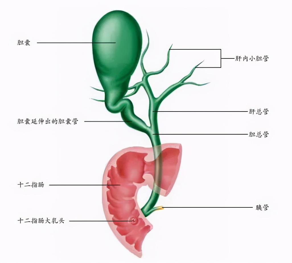 你天然拥有的无价之宝&mdash;&mdash;身体