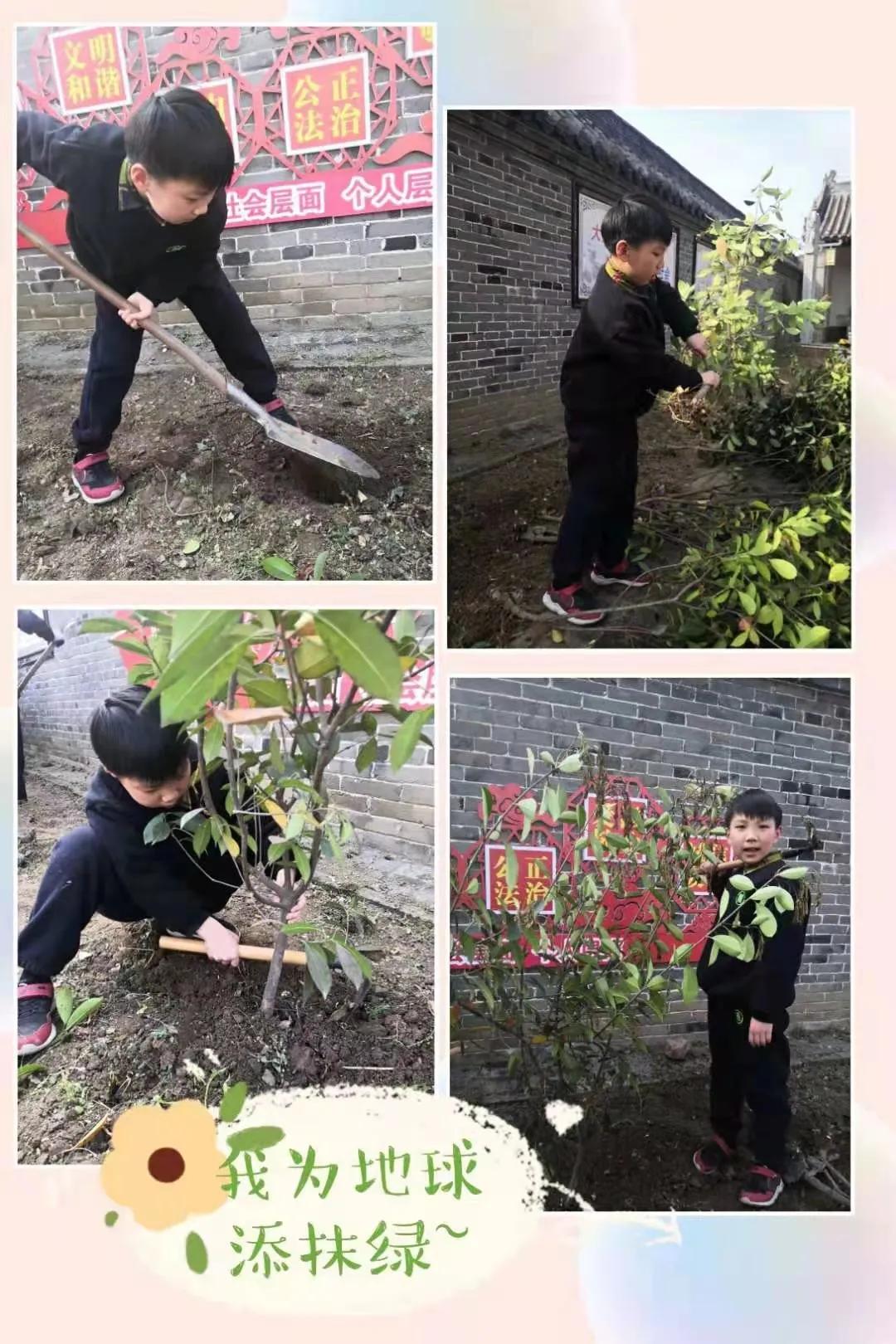 ��֮��.ֲ�̻���--�����еھ�Сѧֲ���ڻ��Ӱ