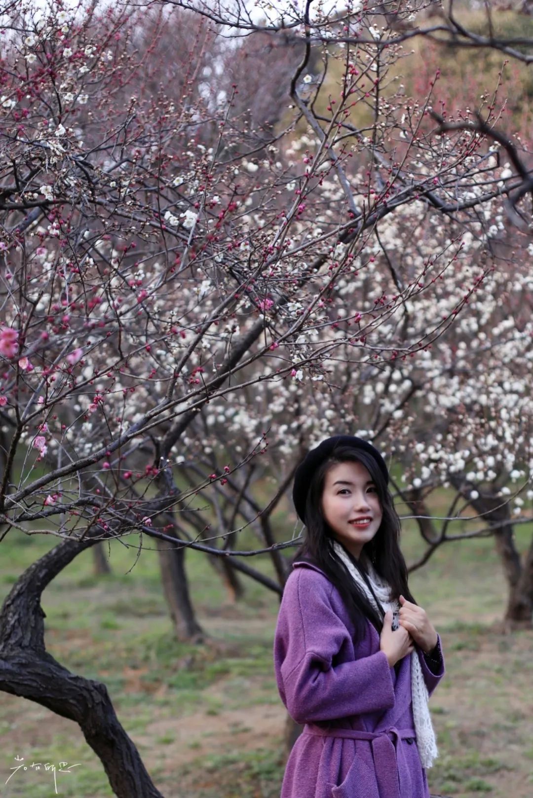 无锡梅花开了江南著名赏梅胜地占地近千亩一天都玩不够