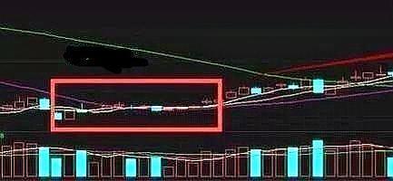 真正炒股的成功的人：这几种股票千万不能碰，