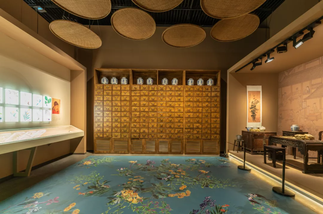 国内首个！中医药出土文物特展，马王堆、敦煌国宝都来了