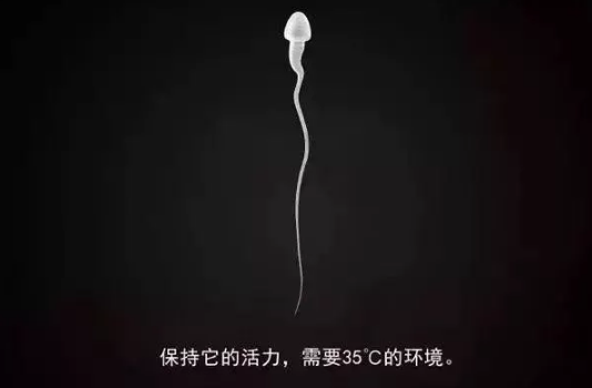 穿上感觉像没穿！超舒服的石墨烯男士内裤，凉爽丝滑、吸湿又抗菌