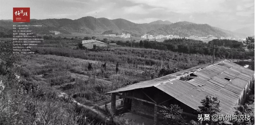 2020年度惊喜！长三角风暴眼，金茂又一史诗级巨