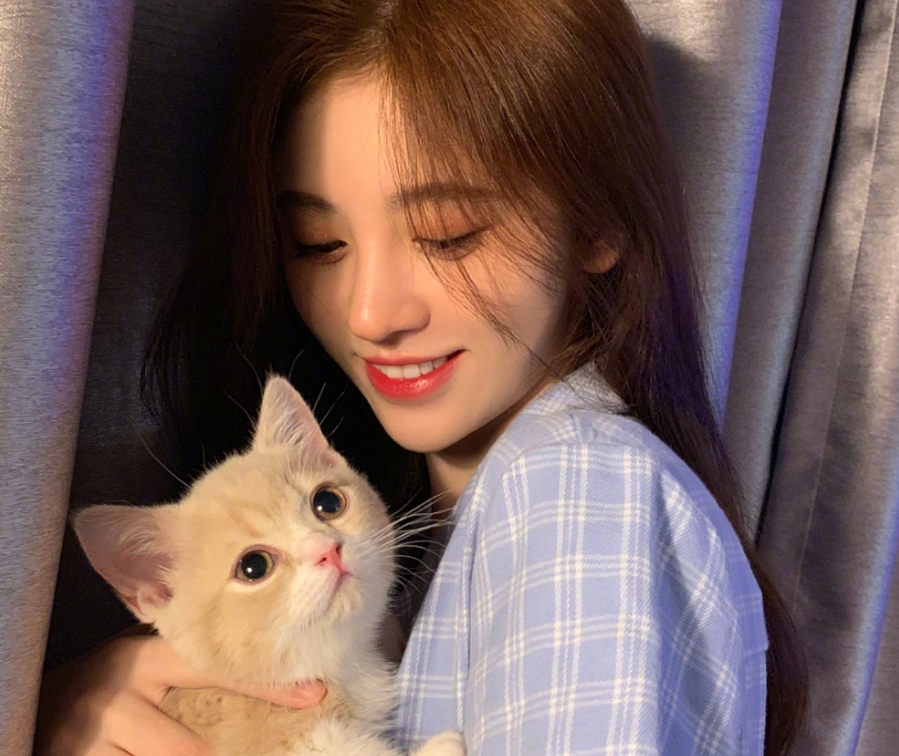 鞠婧祎不理恶评，晒撸猫照介绍新成员，我却只