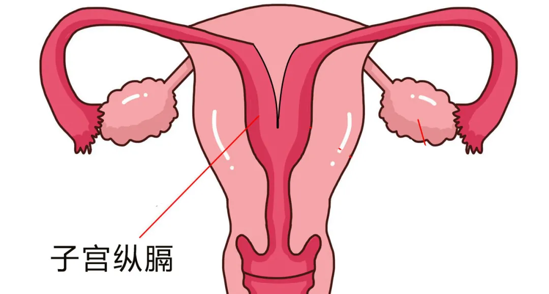 胎停育是什么原因引起的