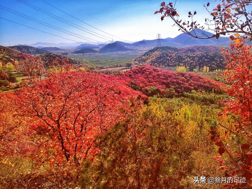 On weekends, check in Shunyi’s free scenic spot, the colorful shallow mountains, the red leaves are beautiful, and there are so many tourists.
