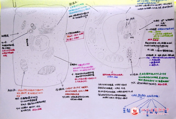 四川省简阳中学怎么样?首届生物学科节(图18)