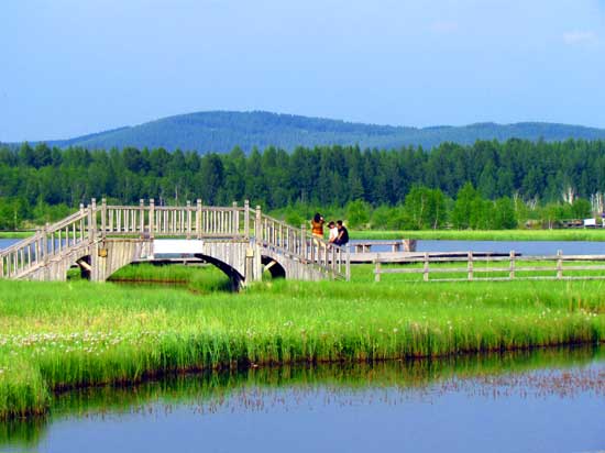 河北旅游：塞罕坝生态体验之旅（图）