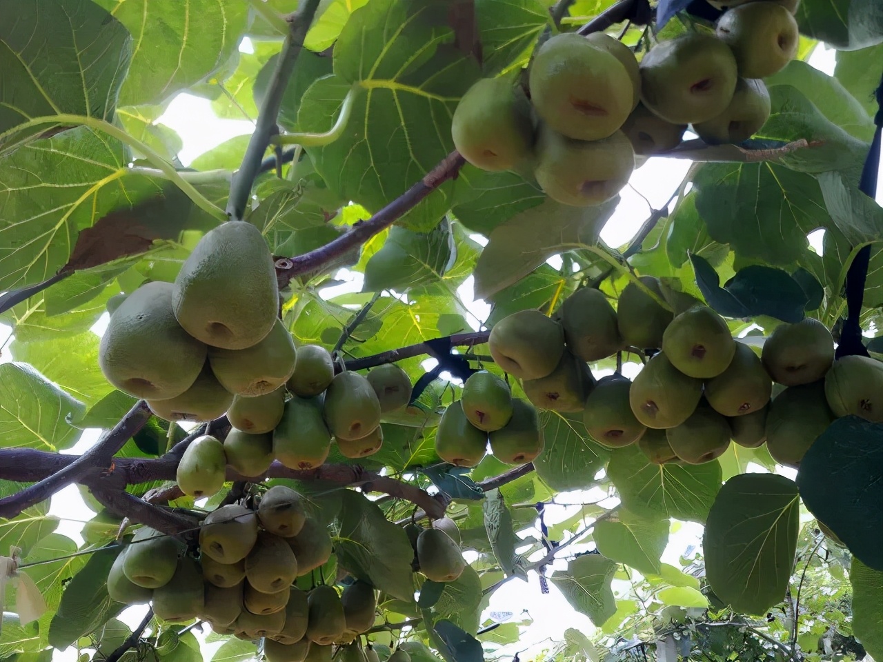 中国工业旅游之湖南