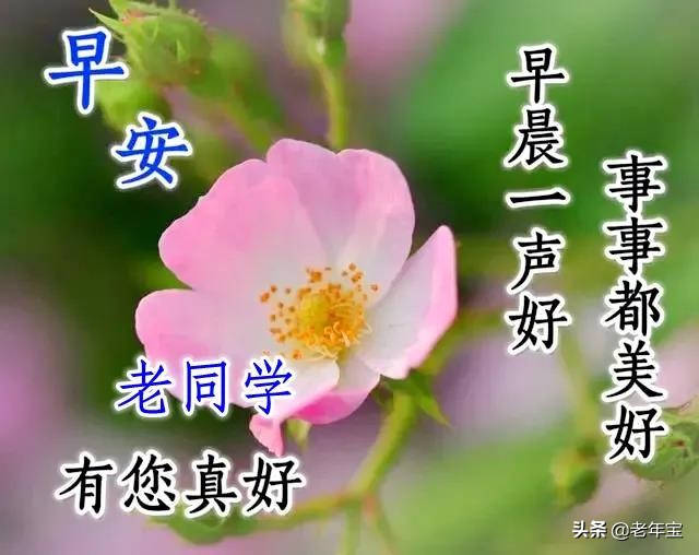 最新周一早上好表情图 周一早安暖心问候图片图片