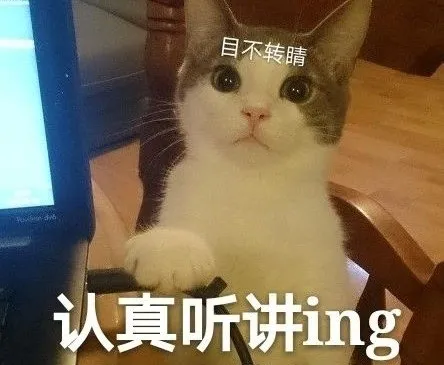 万国觉醒丨信仰骑兵武将—武田信玄