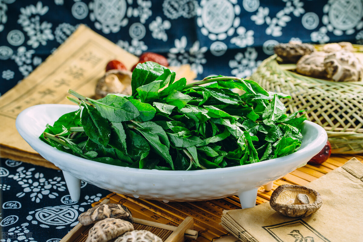 春分吃芽，5種�春芽�可多吃，2種�毒芽�不能吃，健康最重要