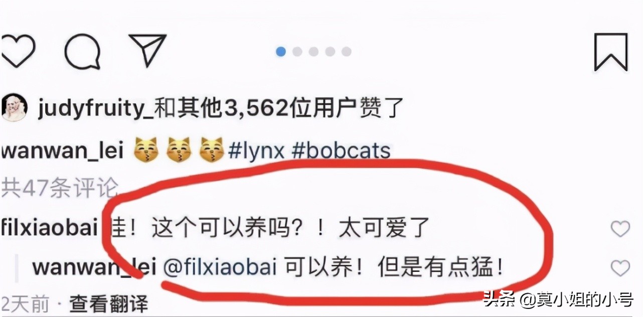 未回應美術館工人墜樓,網紅晚晚曬照又惹爭議,網友怒斥她無下限 - 頭條匯
