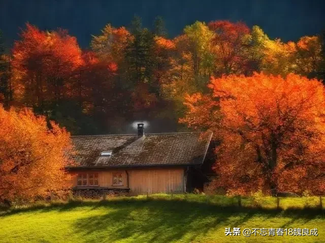 四季歌，春，夏，秋，冬吟诗四首-第3张图片-非凡网