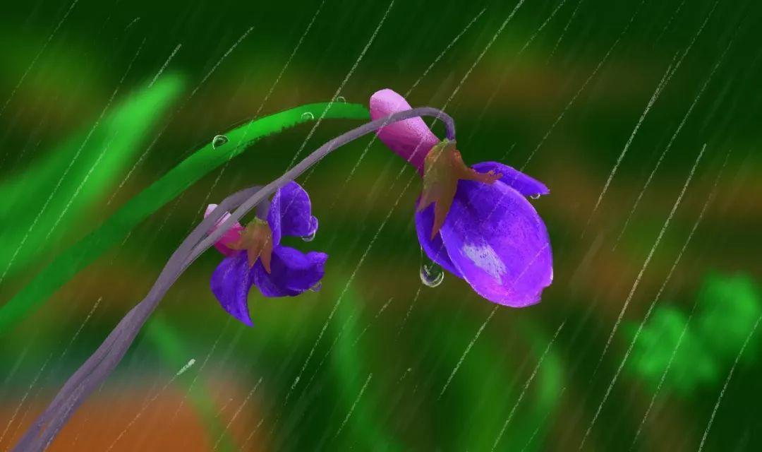 描写春雨诗句有哪些（描写春雨的古诗一首）