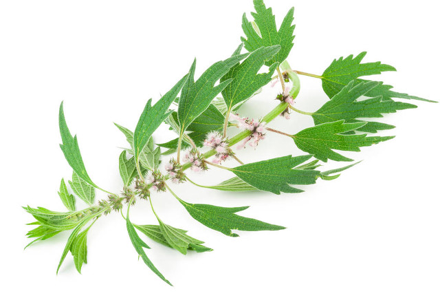治疗痛经用对药是关键，解读8种常用中成药