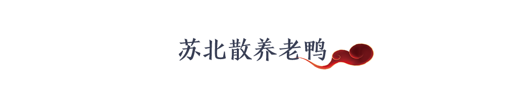 干饭人冲鸭！冬天的第一锅老鸭煲就到鸭连連