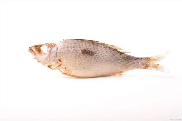 爱吃鱼的人注意了，什么鱼能吃什么鱼不能吃您知道吗？