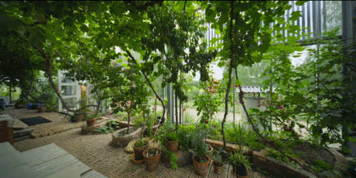 瑞典夫妻花12年为自闭症儿子建了座玻璃城堡：所