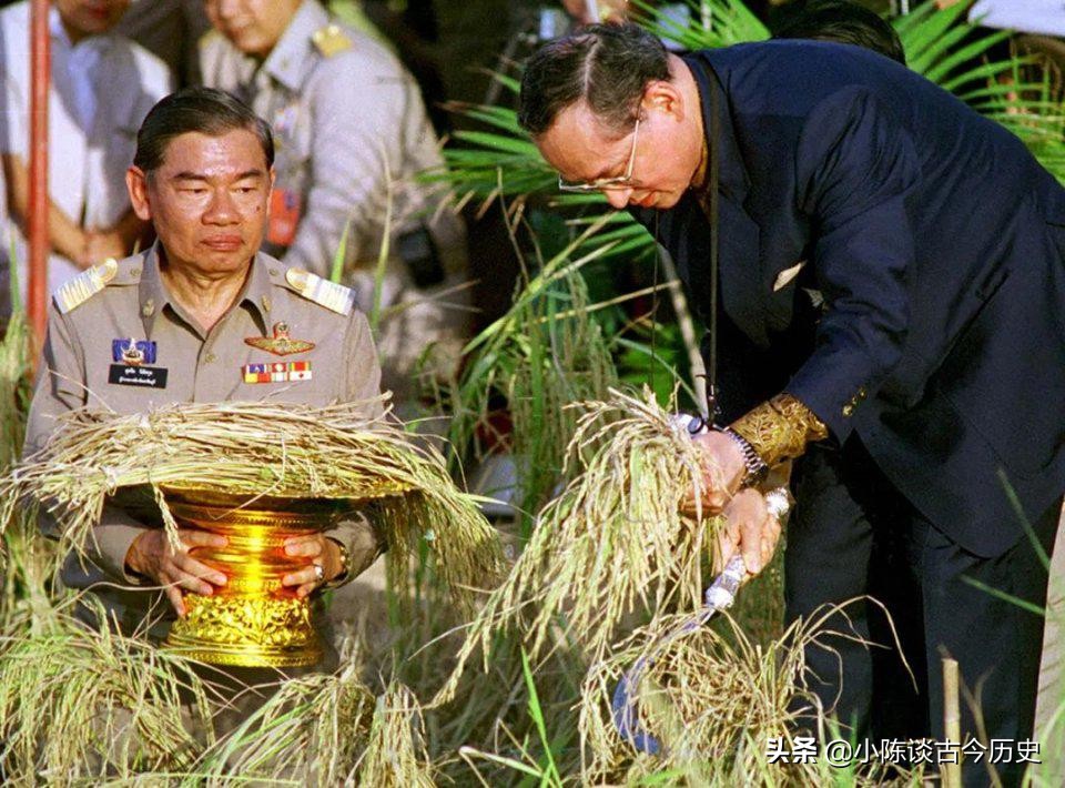 68岁泰王亲自收割水稻，手拿庄稼眉头紧皱，偶尔干农活有点不在行