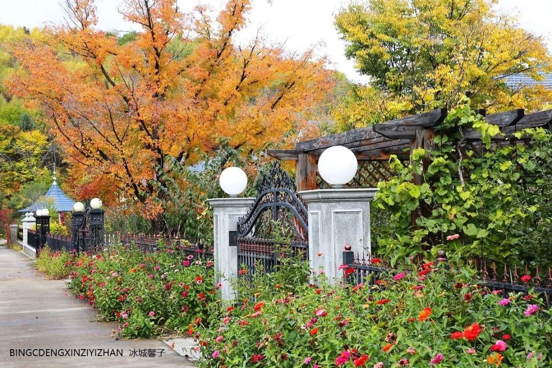 Xuexiang Tianlu, walking through the poetry of autumn leaves dancing with the first snow