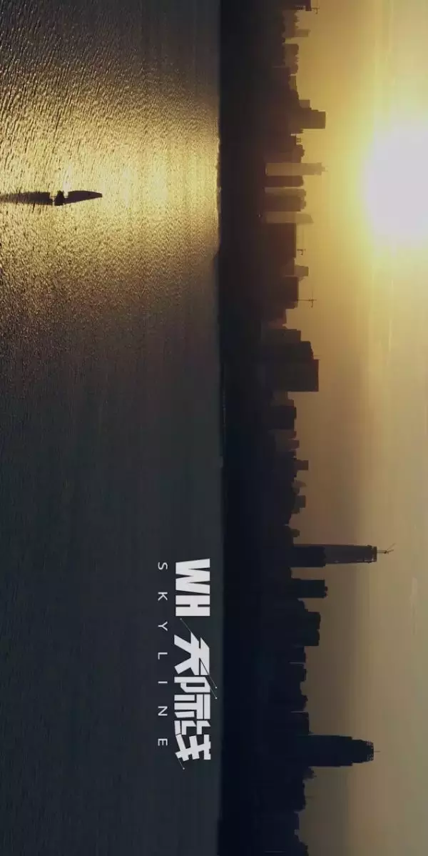 美出天际!武汉城市宣传片《WH天际线》引发社会各界好评